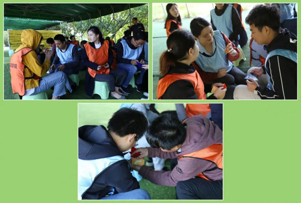 云顶集团新能源_厚积薄发_赢胜2021(图16)