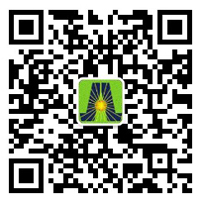 深圳市云顶集团新能源有限公司